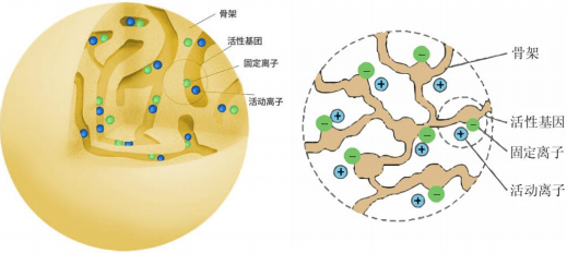 在离子交换树脂的内部结构中,一部分为树脂的高分子骨架,它是由单体经