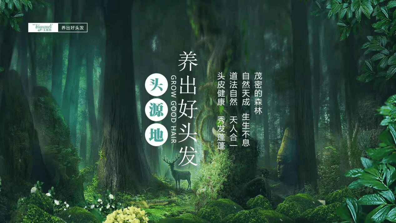 丰盈孟河医派百年古方，头源地养出好头发