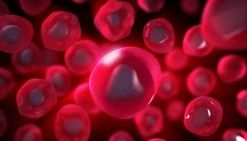 834e5a1148134cecaeec5571ad7893f7.png