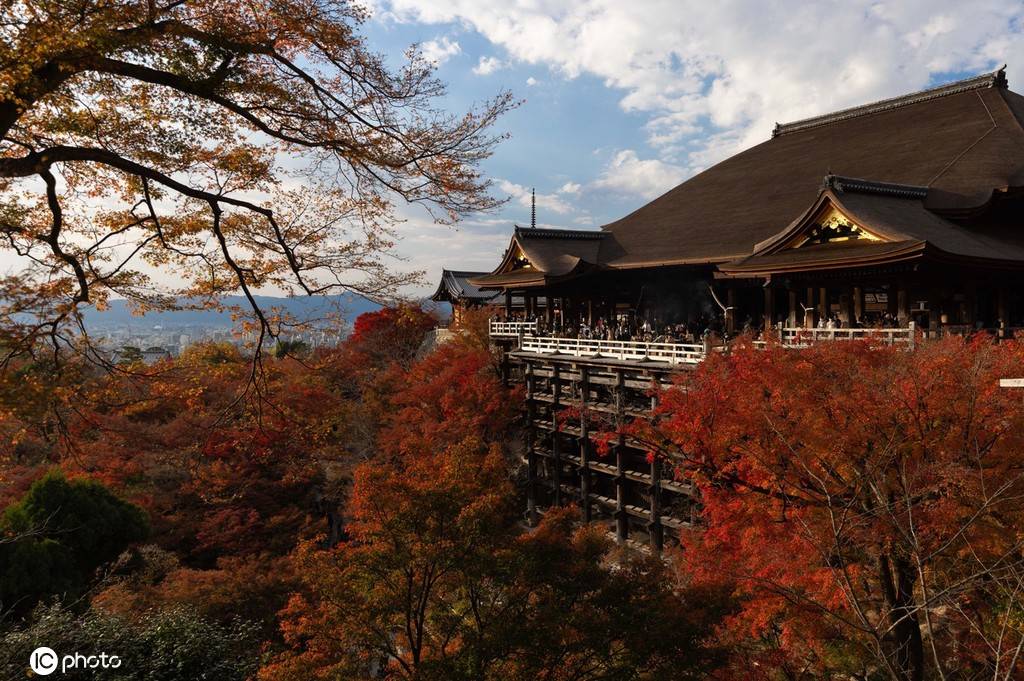日本京都清水寺秋日风景 红叶美到窒息