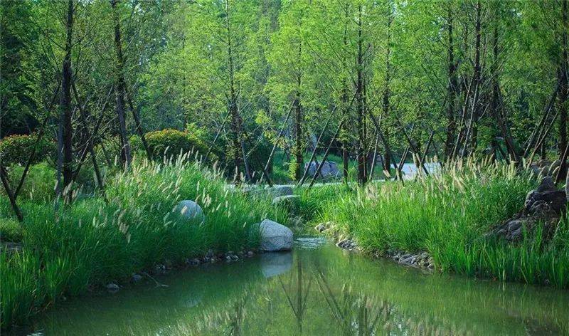 浅谈园林景观设计中水面的植物配置