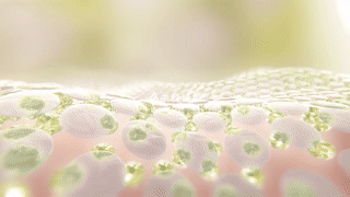 人体中科臻颜胶原魔法 胶原蛋白 人源Ⅲ型胶原蛋白抗衰?维稳?修护