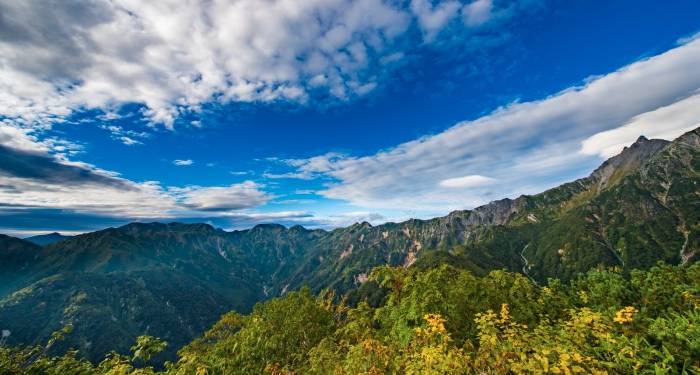 家电产业加速向头部集中，小企业们要换一种活法了!-家电圈官网