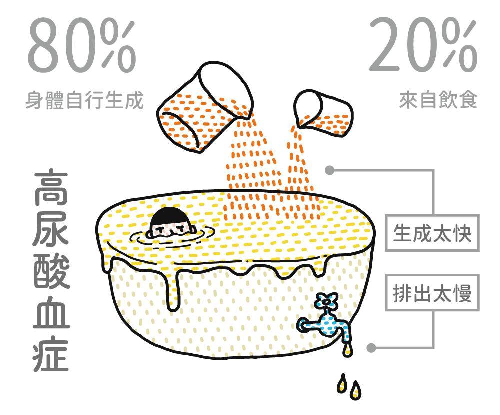 一是内源性,由体内核蛋白分解代谢产生约占总量80%;人体尿酸来源有两