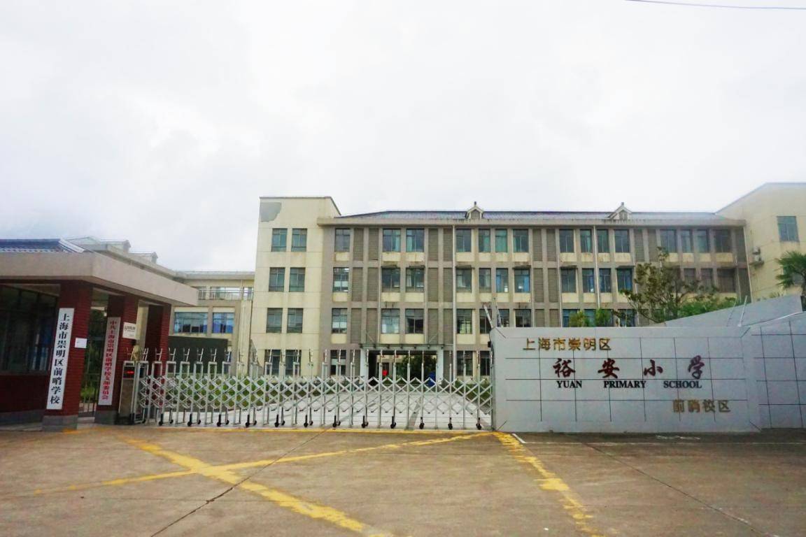 在崇明岛抵御加拿大一枝黄花入侵的老师范含信地理是通往生活的美育