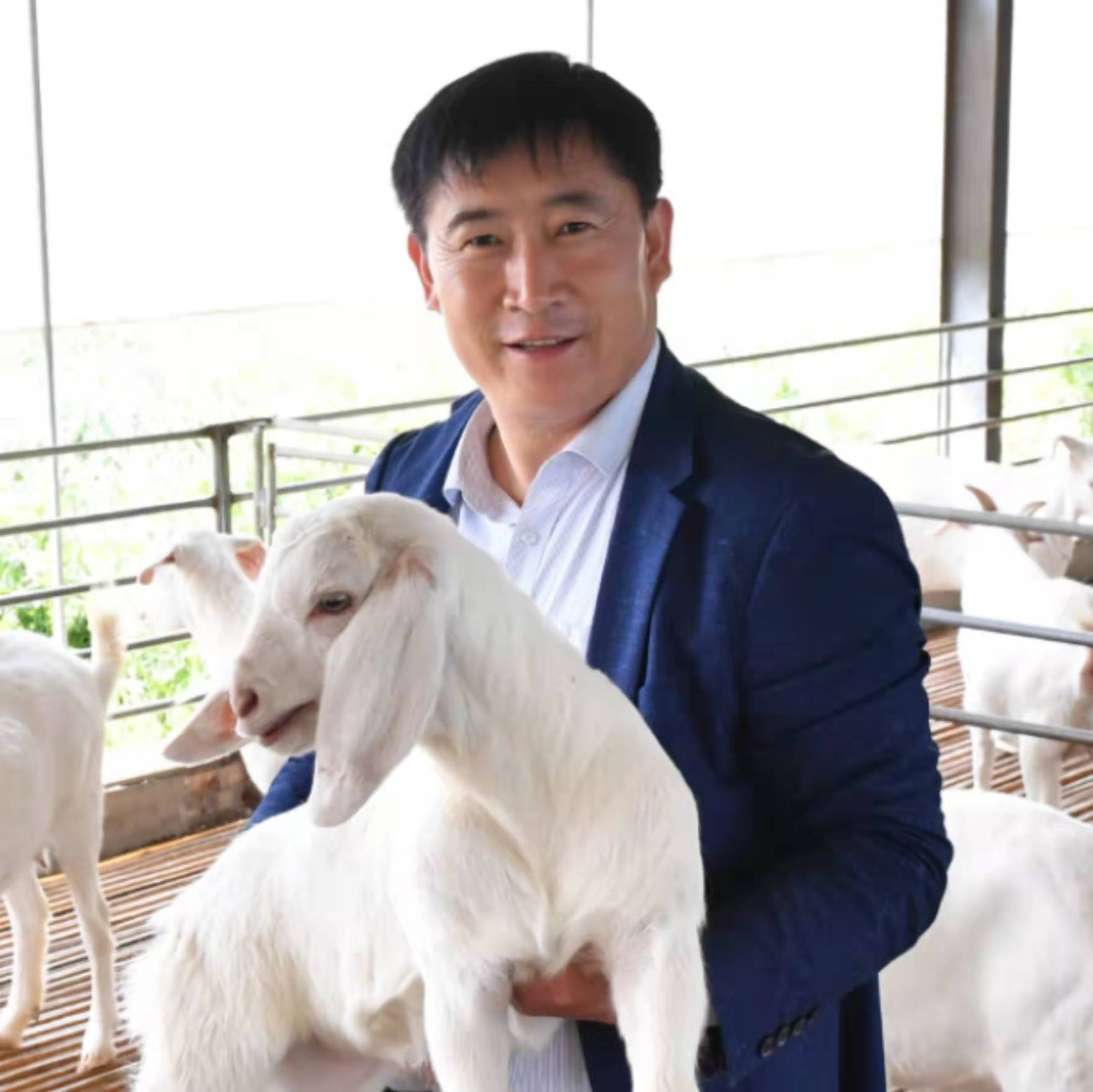 不忘初心 打造脱贫攻坚发展平台 河南豫东牧业有限公司董事长胡业勇