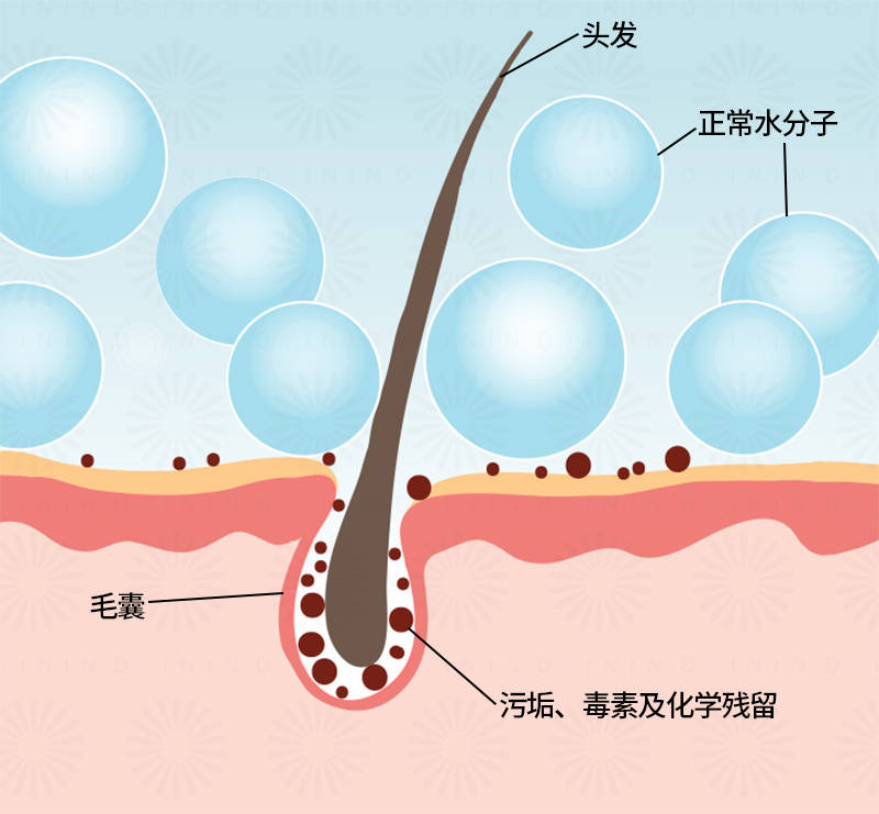 头皮头皮卸妆机为什么能深层补水？