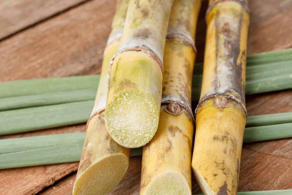 水果|冬至来临，不管有钱没钱，这9种金牌水果要多吃，解渴润燥营养高