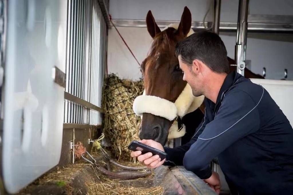 什么|马儿也是零食控!哪些零食会受到马儿的疯狂点赞呢?