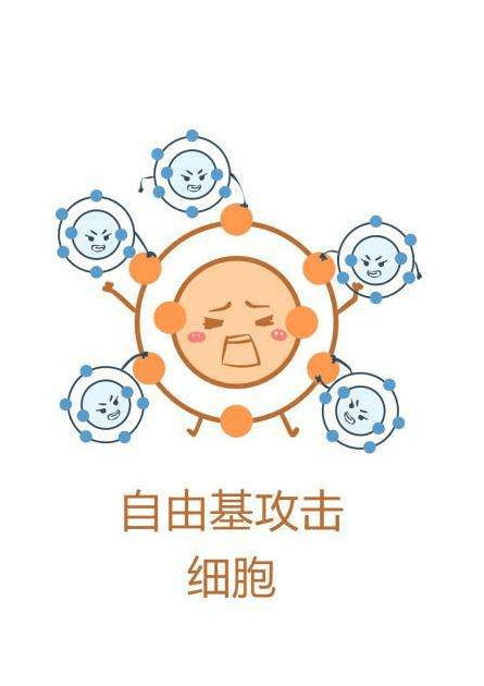 各类抗氧化物比较牛黄胆红素清除自由基强力抗氧化