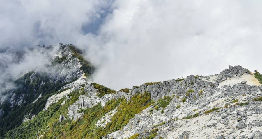 家电高手过招新风口，海尔美的格力海信京东方三星TCL增效率-家电圈官网
