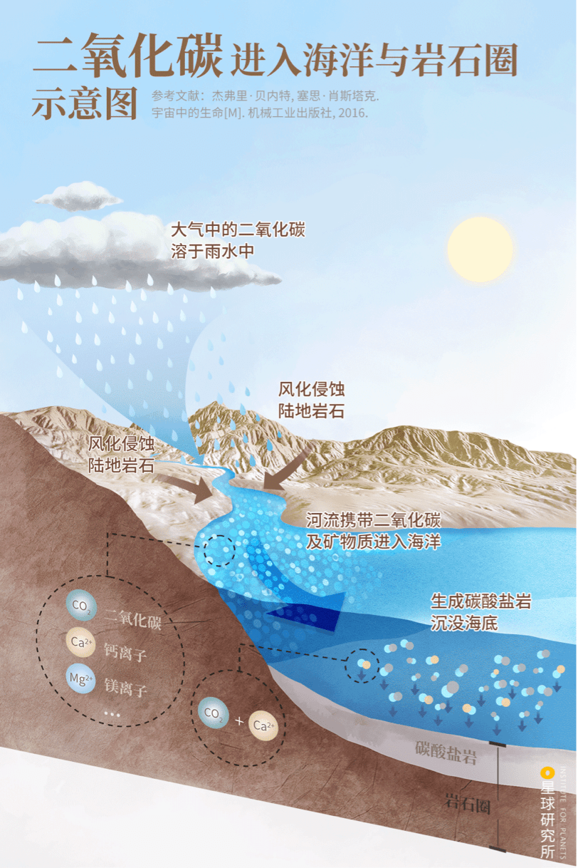 双碳科普系列06碳循环的基本概念与原理