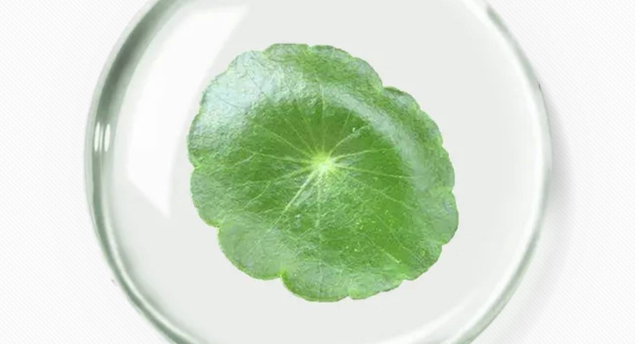 人群“早C晚A”是智商税吗？