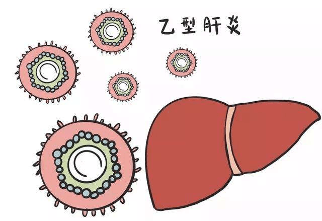 肝脏|治疗肝硬化只需要抗病毒就够了吗？