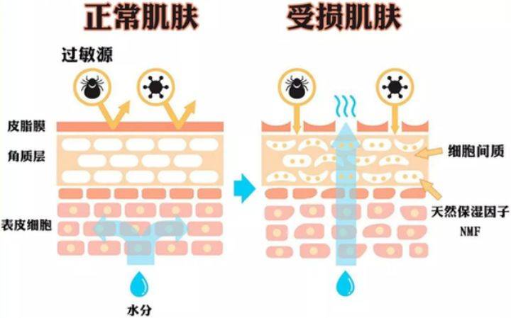 睡眠女人脸色暗黄多半是这几个原因，董思敏院长分享3个改善建议给你！