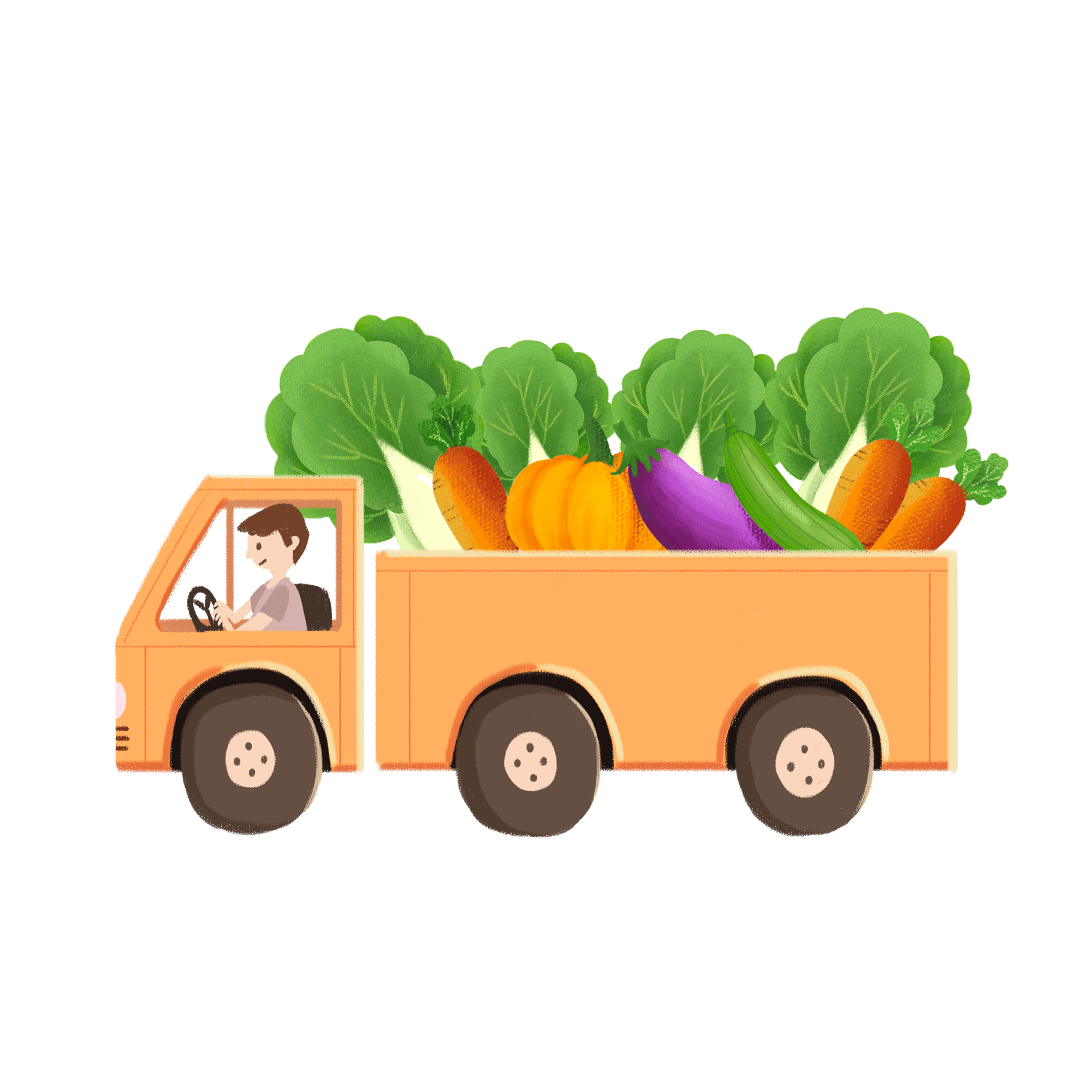 美菜打通农产品上行通路,助力农产品出村进城_地方_农村_农业