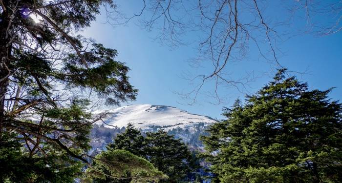 关于消费需求弱的问题，家电厂商存在三个误区-家电圈官网