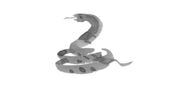 7e5aea9cc96849edb2c1866afcafd09a.png