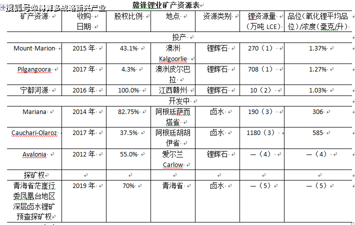 原創200家鋰礦鋰鹽企業分析報告江西贛鋒鋰業股份有限公司