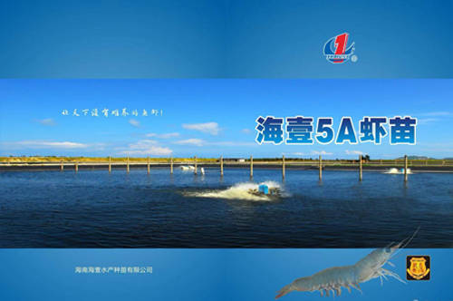 水产虾苗培育|海壹5A种苗选择净信全自动样品研磨仪做虾苗培育