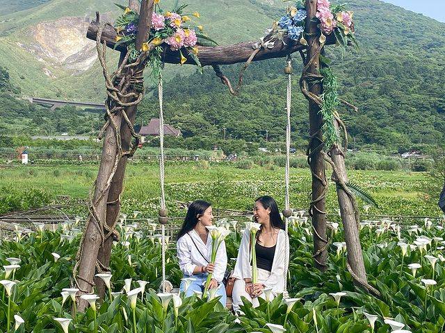 2022竹子湖海芋季阳明山一日游必去5大打卡景点景观餐厅推荐全攻略
