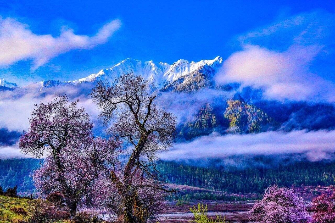 林芝最全旅游攻略去林芝旅游最佳时间是林芝的天气怎么样