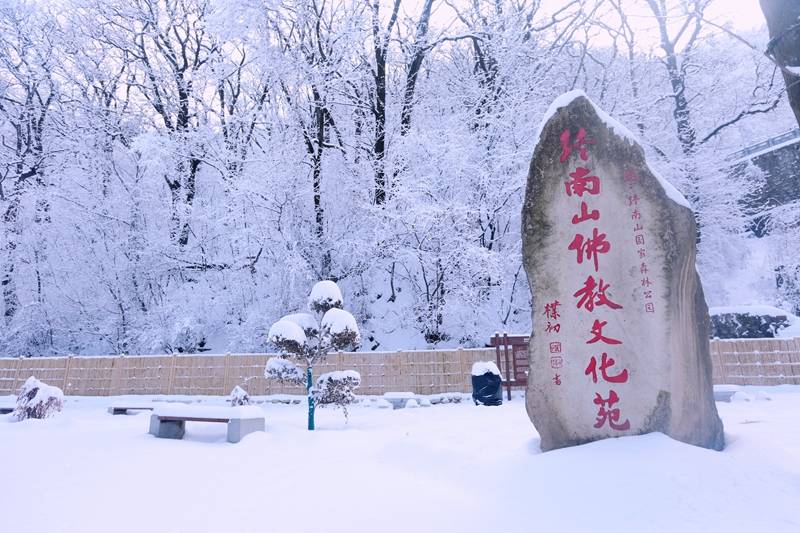 五台|金虎贺岁闹新春 吉祥纳福南五台 新春游园贺新禧