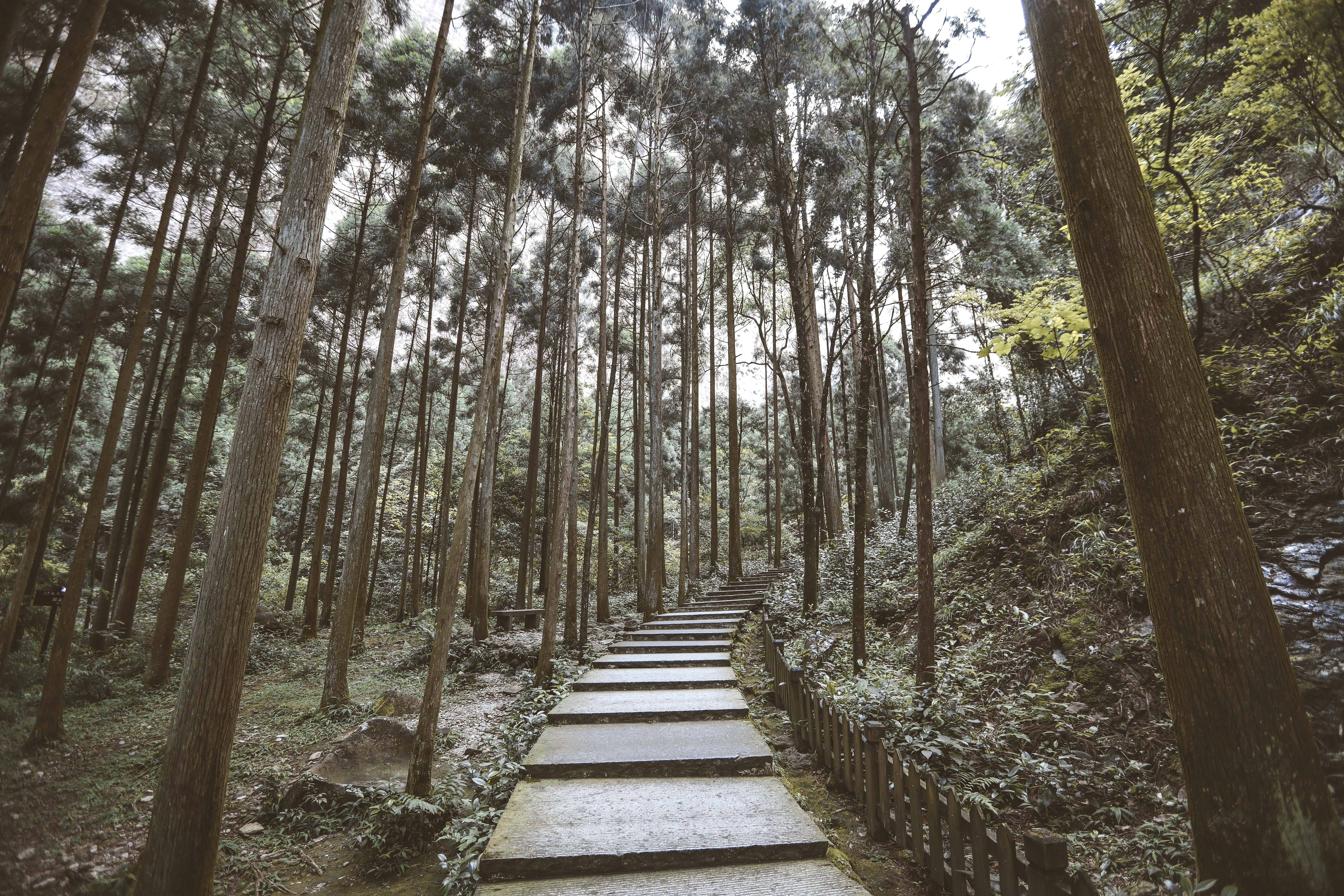 展旗峰|它是浙江名山，素有“海上名山、寰中绝胜”之誉，温州人的骄傲