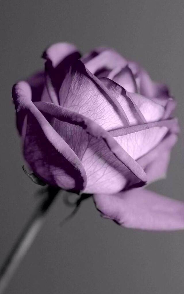 1d861160f1de4e2f9bc9f30959c8dfd7.jpeg