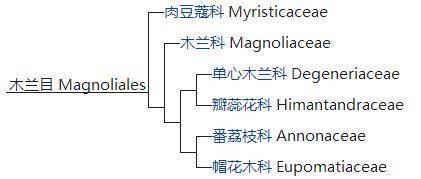 地球生物全系列 植物篇 双子叶植物纲 木兰目 上 单心 种类 常为