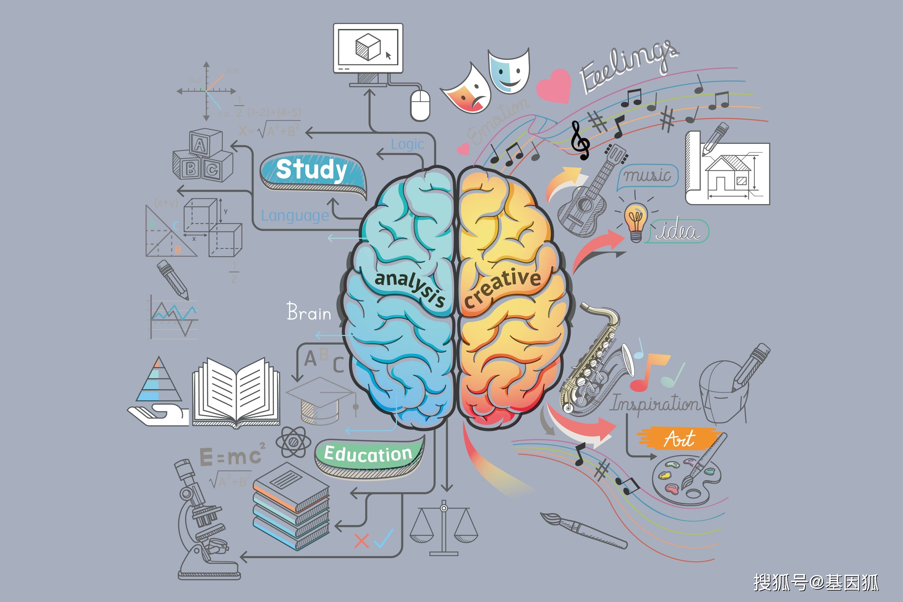 学术前沿大脑中的屏幕我国科学家解析记忆之谜