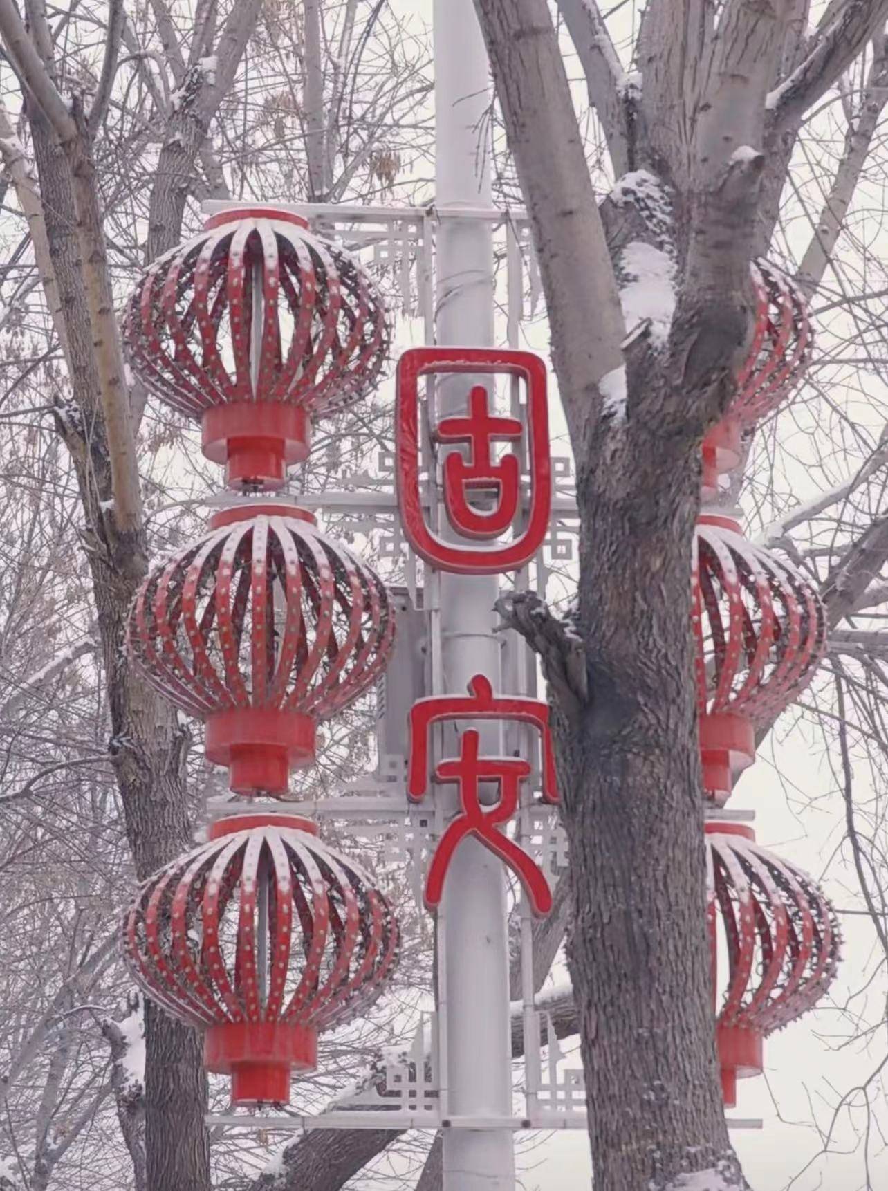 路口|坚毅守护迎花开 ——致敬我身边的平安守护者、风雪逆行人