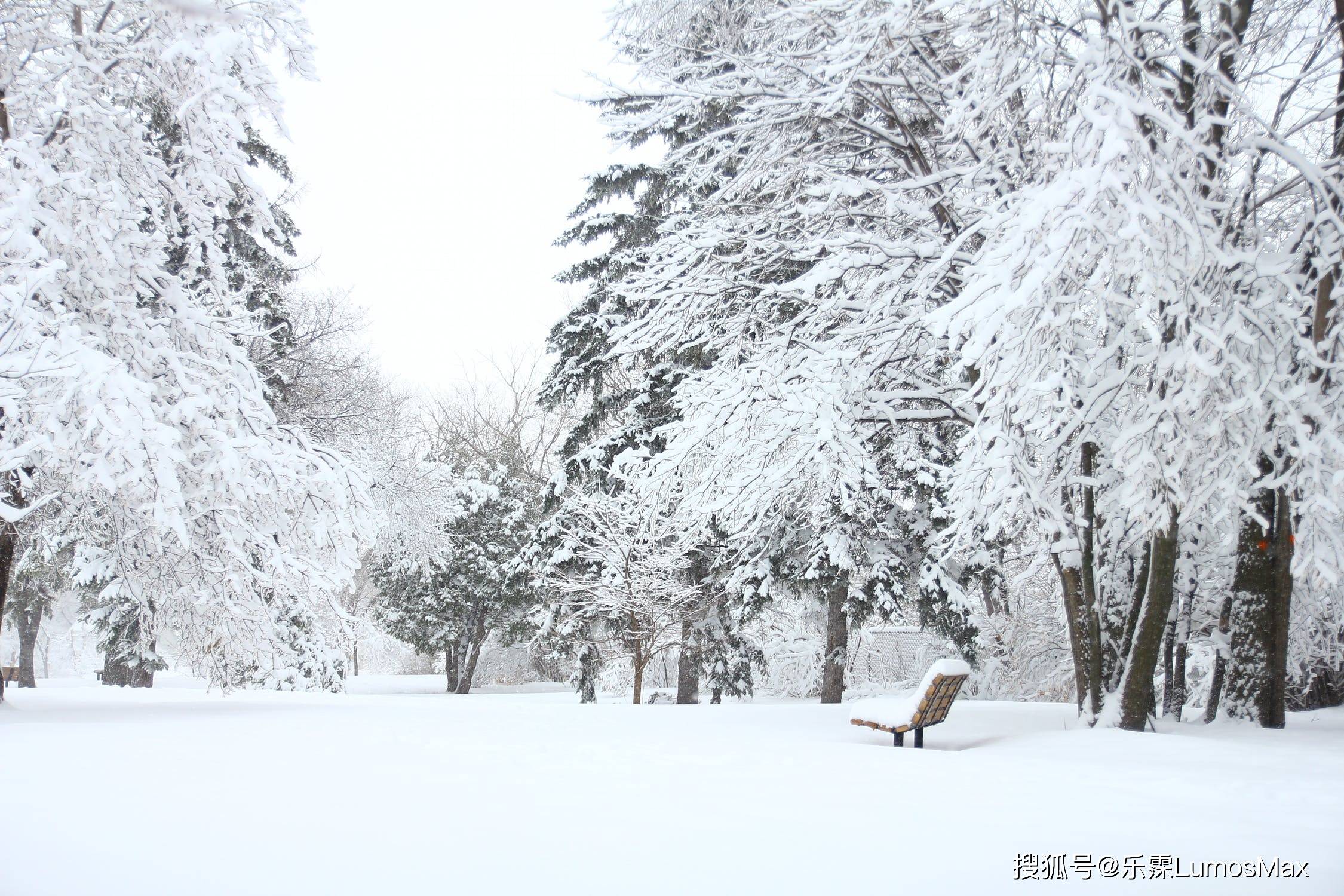 因为外面在下雪，但不要让你的头发也在冬季“下雪”哦！