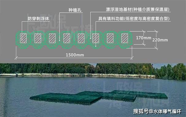 人工浮岛的发展历程_浮动_净水_阶段