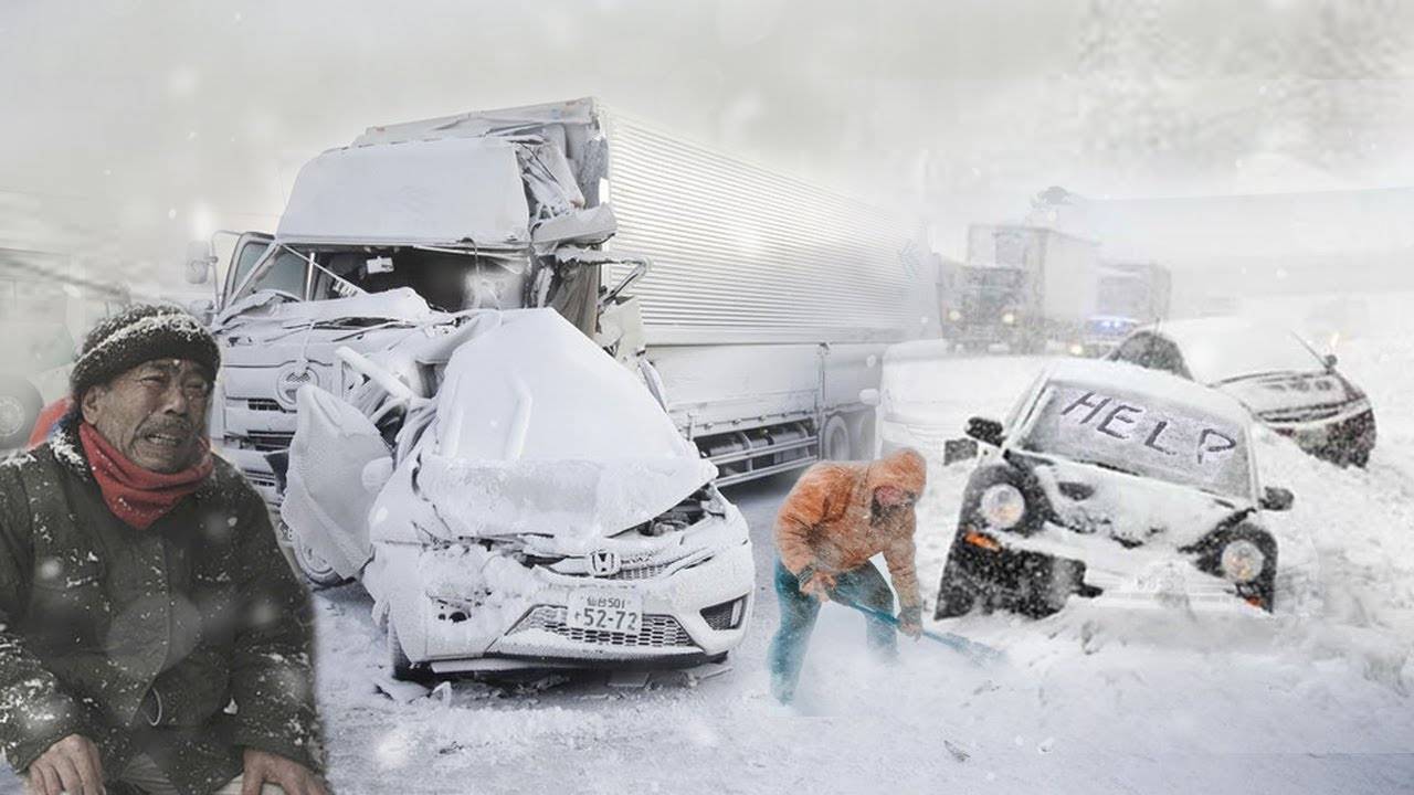 拜登|残酷的雪景，惨兮兮的美感
