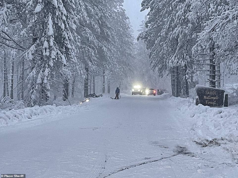 拜登|残酷的雪景，惨兮兮的美感