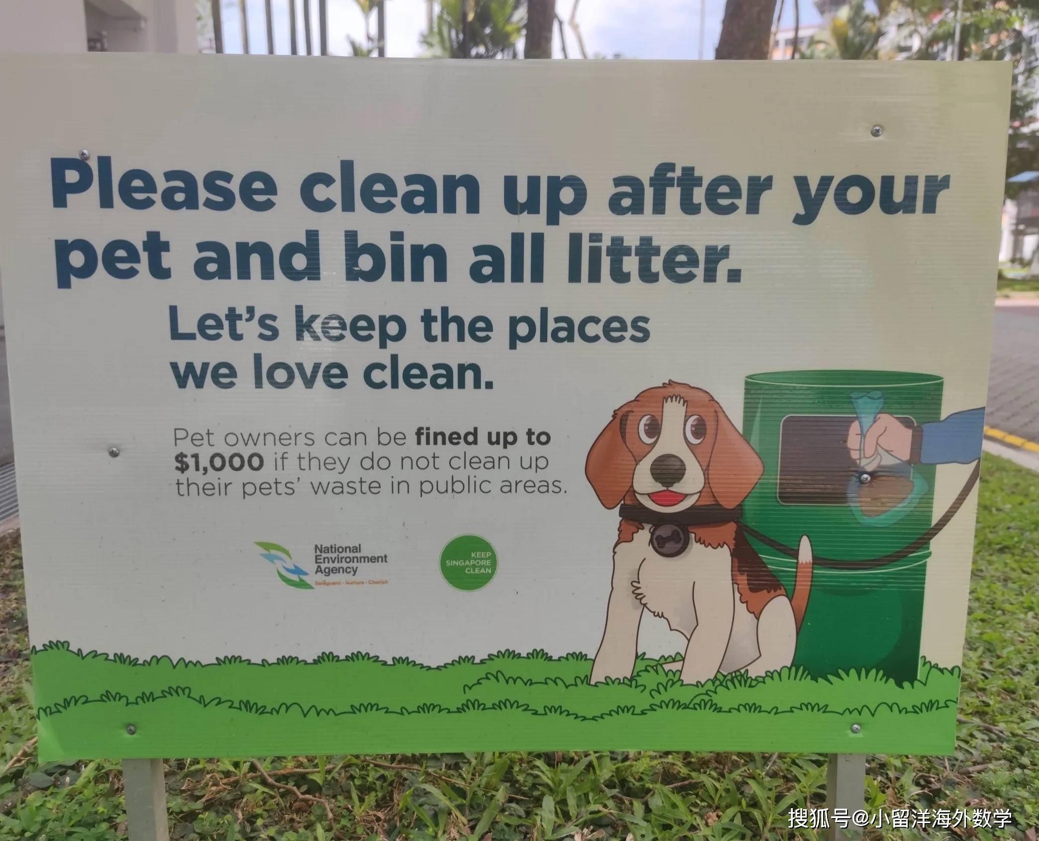 提醒"铲屎官"别忘了跟在自己宠物后面清理,把垃圾扔到垃圾桶里.