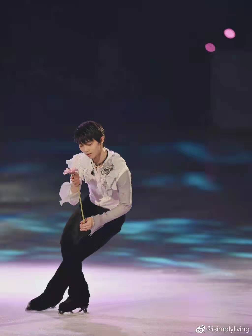 《春天來了》超美壁紙_羽生結弦唯美起舞 再現吻冰禮_柳鑫宇抱羽生結