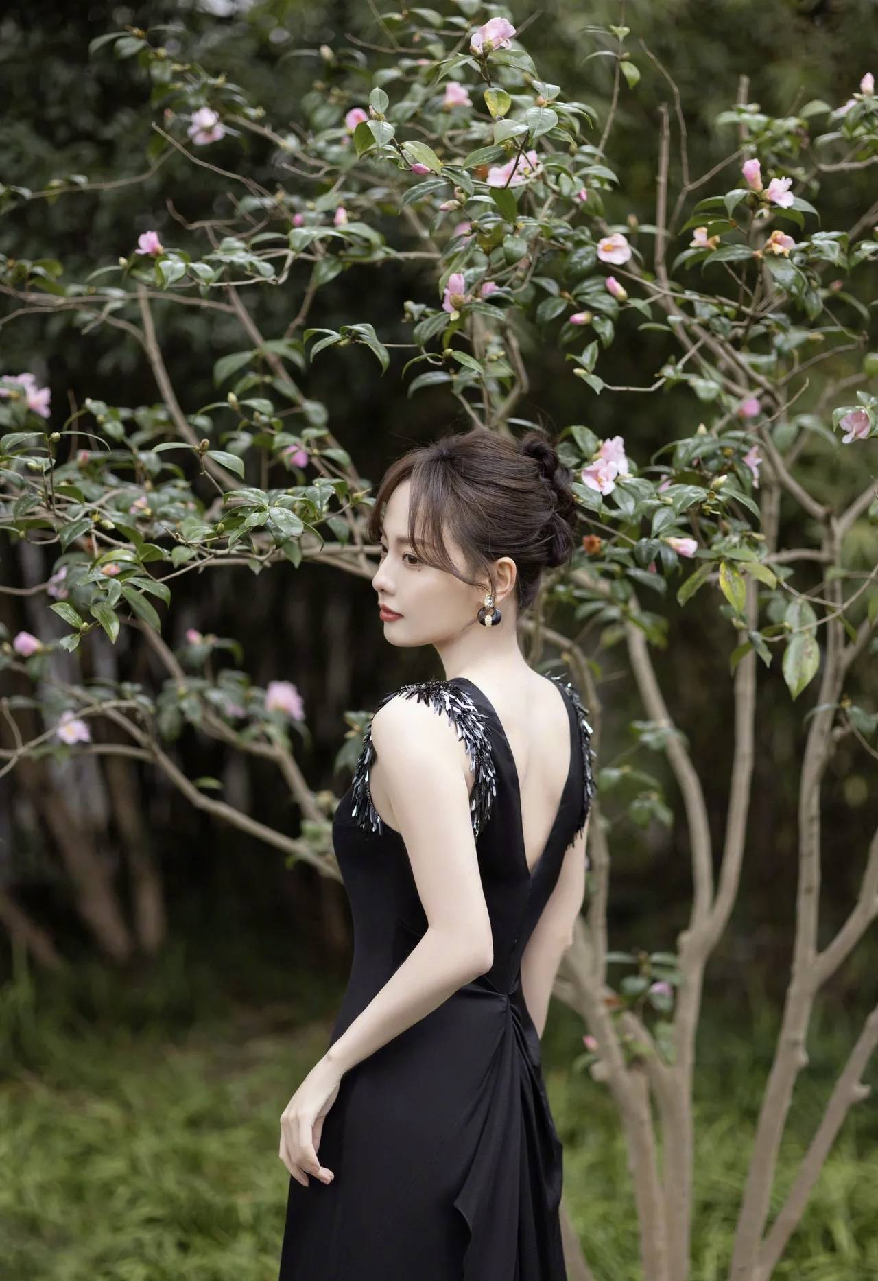 张嘉倪雨水时节春光乍现