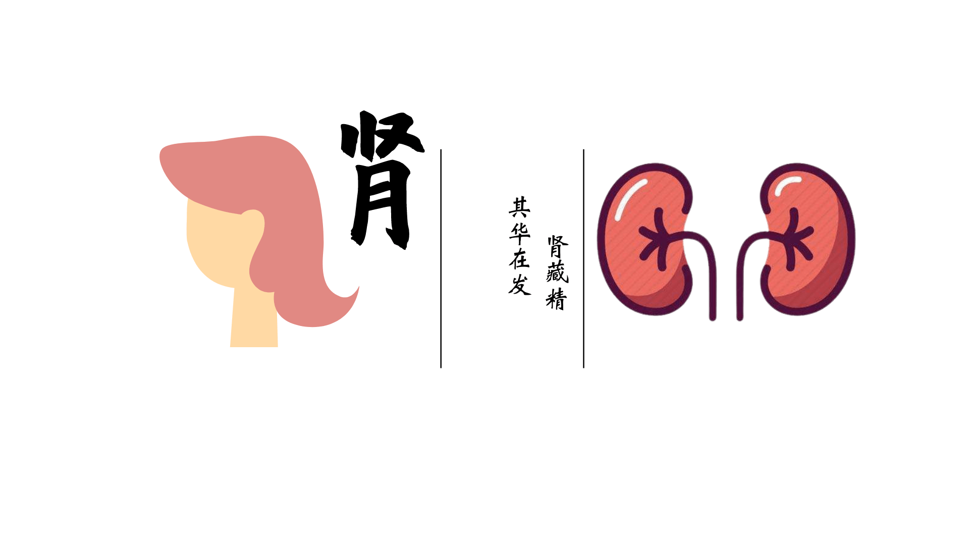 "肾藏精,其华在发 "5,头发与肺肺主气,助心行血,外合皮毛.