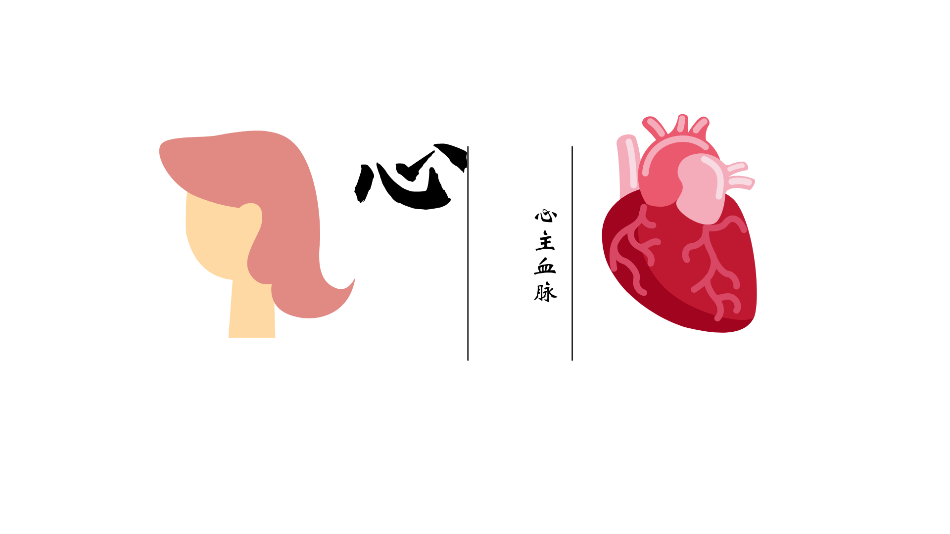 "心主血脉"包括主血和主脉两个方面.