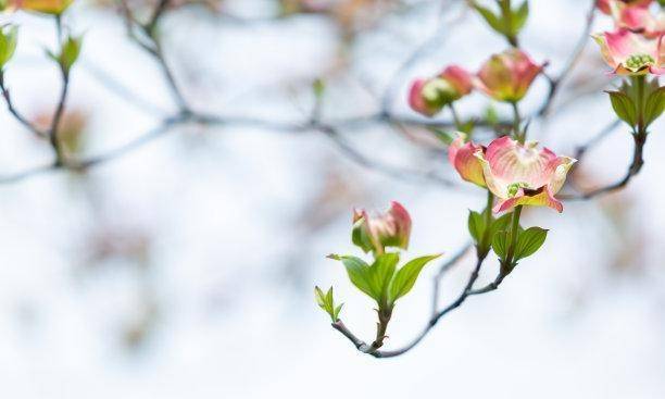 他们也很有能力,所以,在他们的人生道路上,一定会给自己一个好的归宿