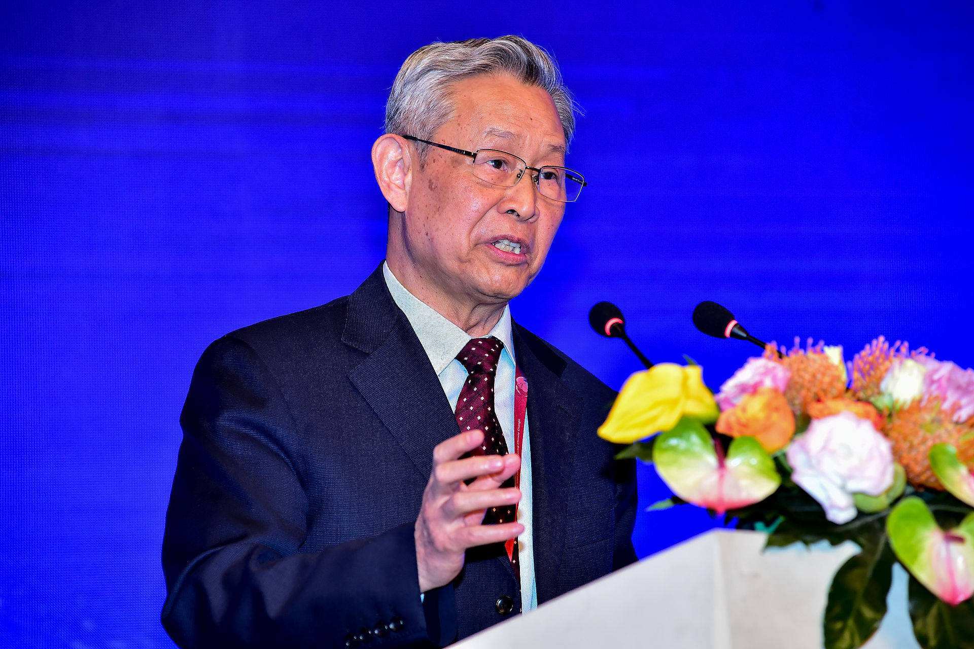 杜祥琬院士发展可再生能源要先立后破化石能源与非化石能源协调互补