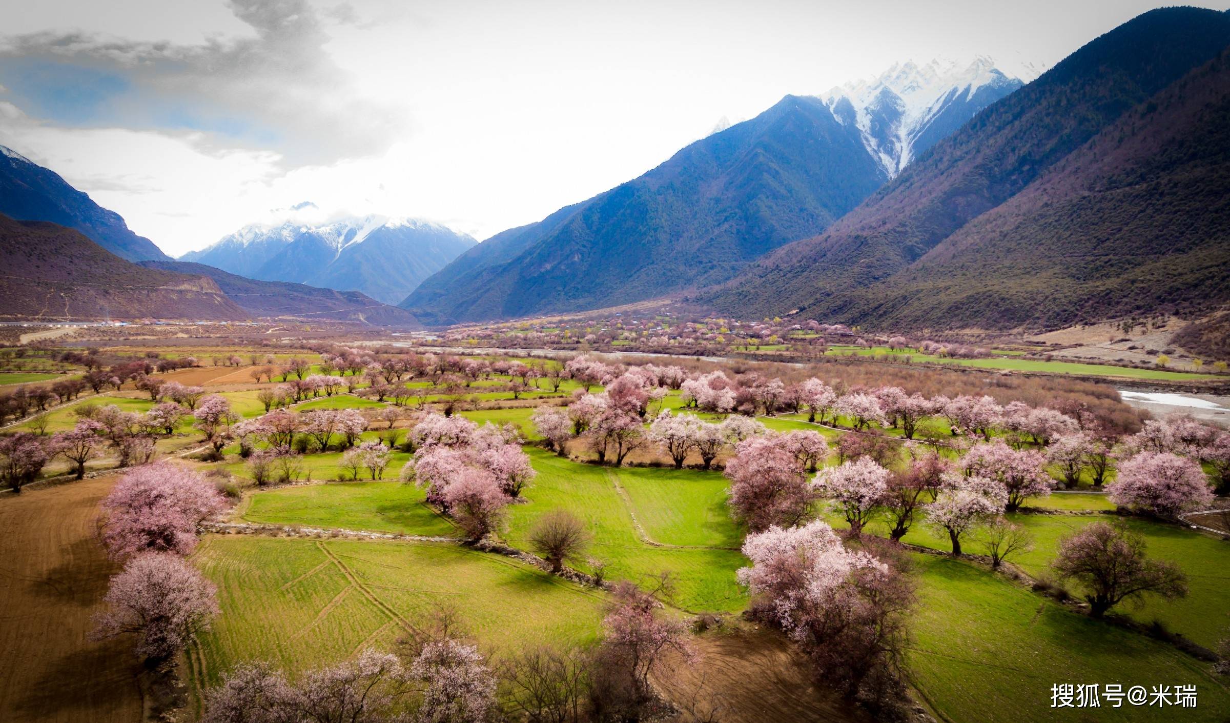 快来看西藏林芝最美桃花观赏地新鲜出炉