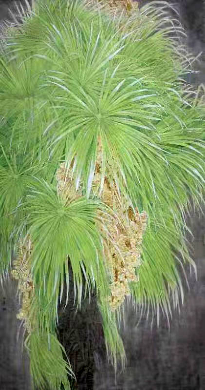 民族|与花同乐——云南民族画院青年画院院长·赵寒