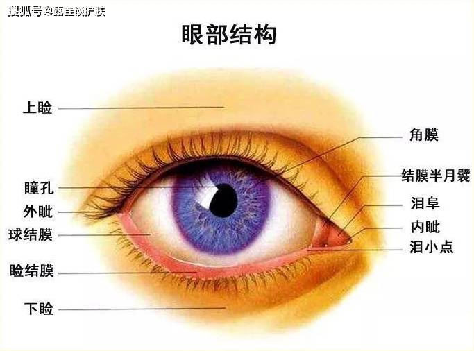 太阳镜眼部肌肤要不要用“防晒霜”