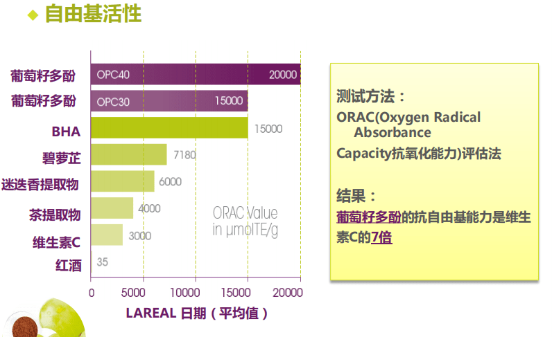 植物薇薇四季——原花青素引领抗衰新风向