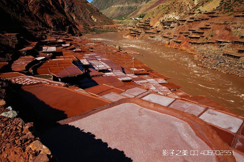 活化石|奇妙旅行 神州多彩盐景观