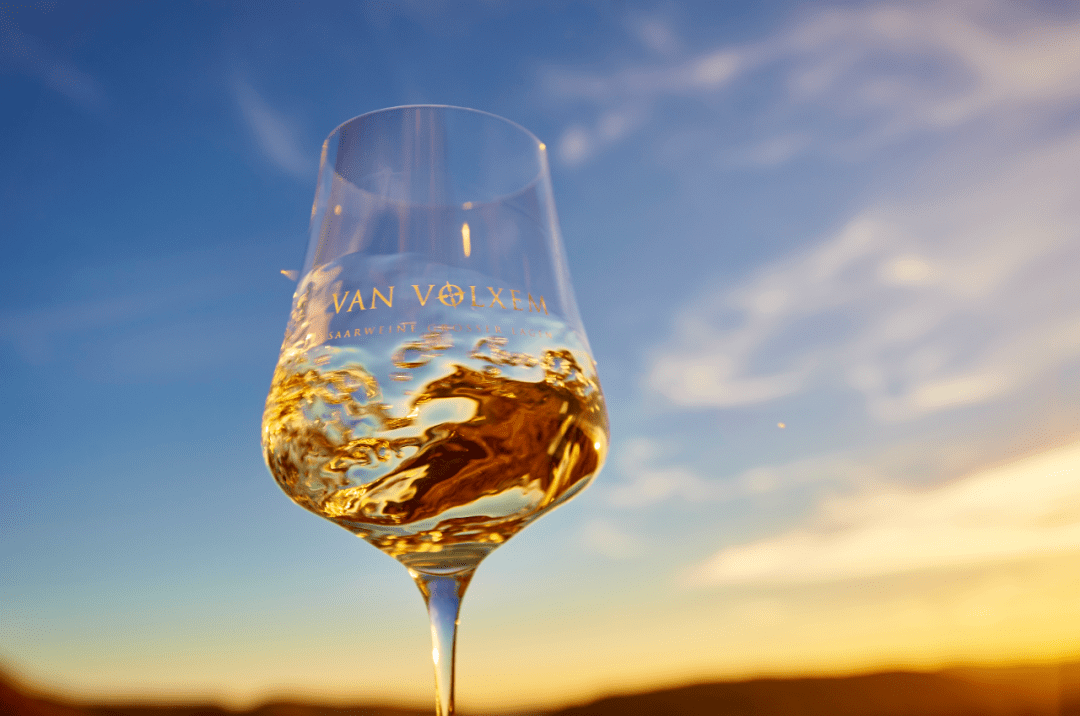 葡萄|雷司令的第587个生日,带你走进顶尖产区!