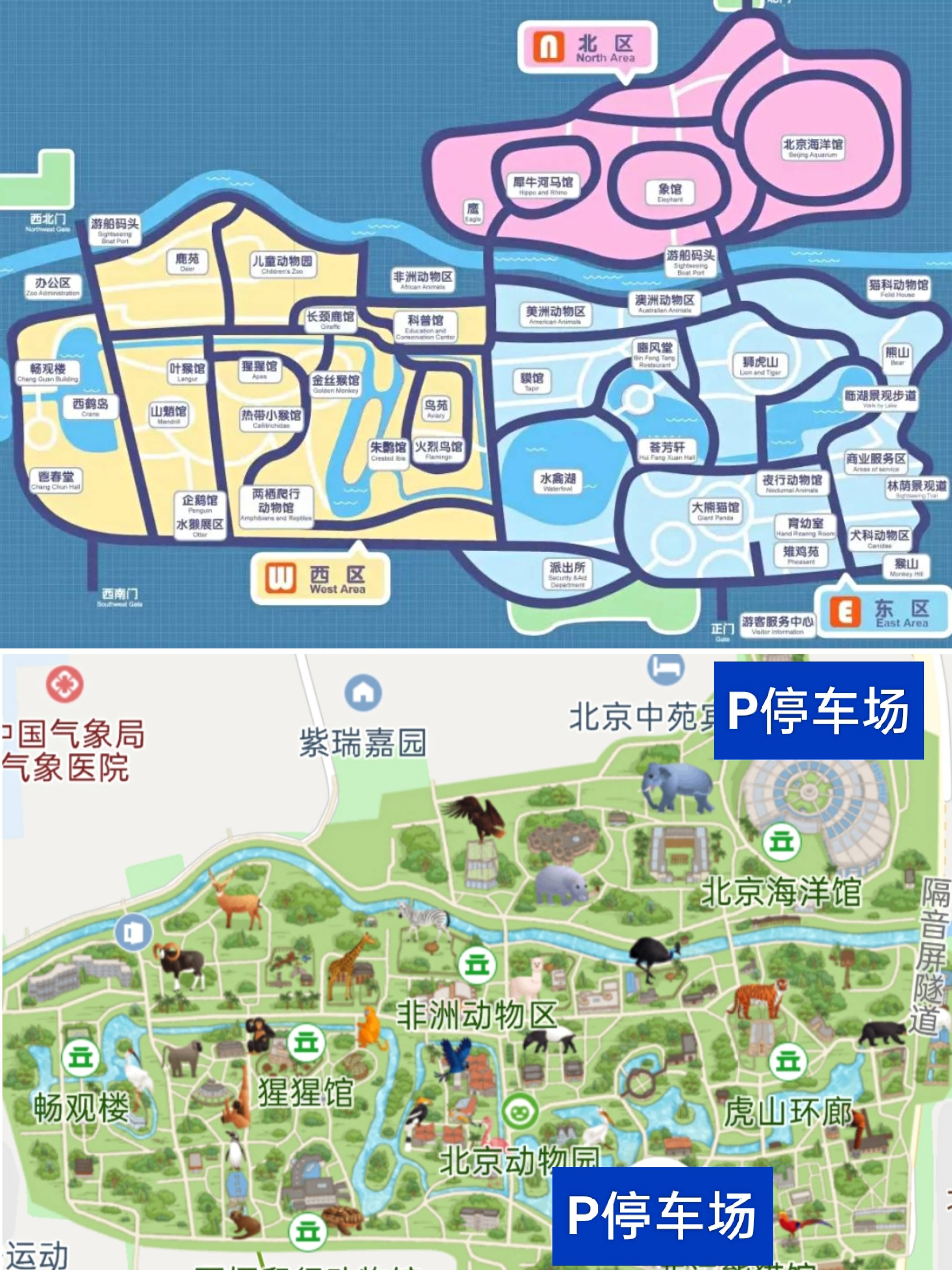 北京动物园游玩攻略,园区地图